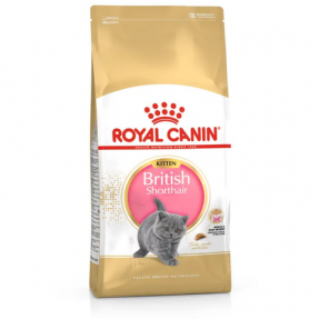 Royal Canin British Shorthair Kitten Yavru Kedi Ku...